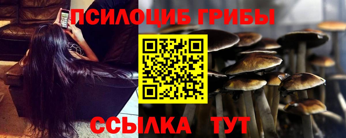 Галлюциногенные грибы Psilocybine cubensis  Вход с VPN  Нефтеюганск  хочу   Псилоцибиновые грибы Magic Shrooms 